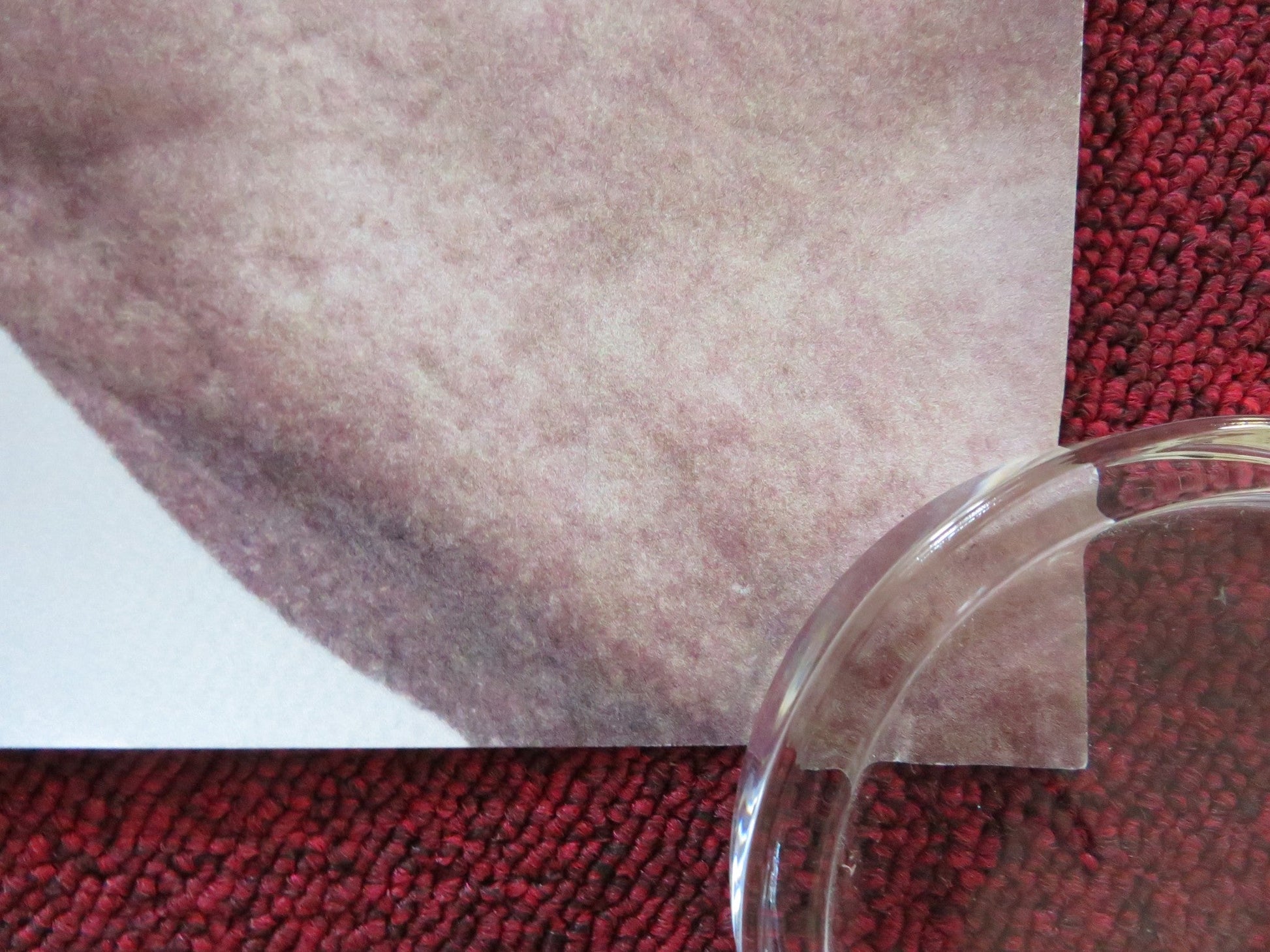 REAWAKENING UK QUAD ROLLED POSTER JARED HARRIS JULIET STEVENSON E. DOHERTY 2024 Rendezvous Cinema Movie posters