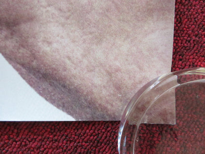 REAWAKENING UK QUAD ROLLED POSTER JARED HARRIS JULIET STEVENSON E. DOHERTY 2024 Rendezvous Cinema Movie posters