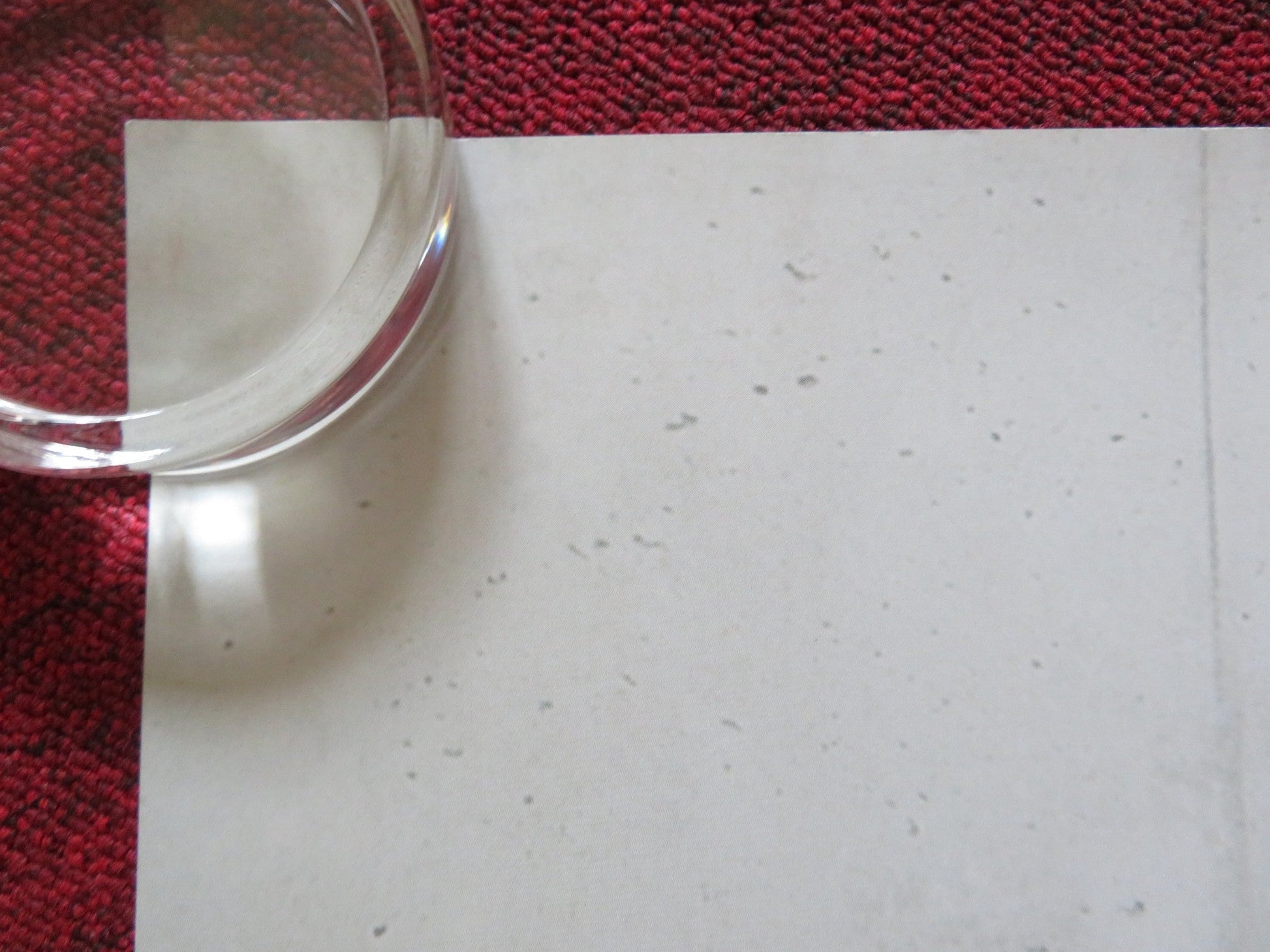 RED UK QUAD ROLLED POSTER ALFRED MOLINA EDDIE REDMAYNE MARK ROTHKO 2010 Rendezvous Cinema Movie posters