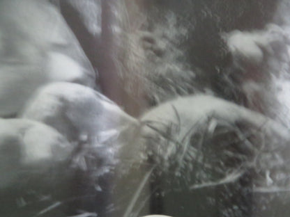 REDRESS ITALIAN FOTOBUSTA POSTER SISI CHEN CHUANG CHIAO 1973 Rendezvous Cinema Movie posters