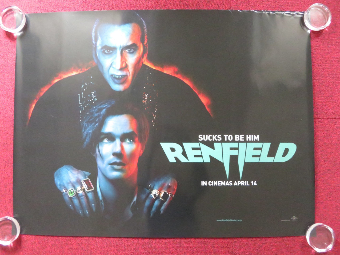 RENFIELD UK QUAD ROLLED POSTER NICOLAS CAGE NICHOLAS HOULT 2023 Rendezvous Cinema Movie posters