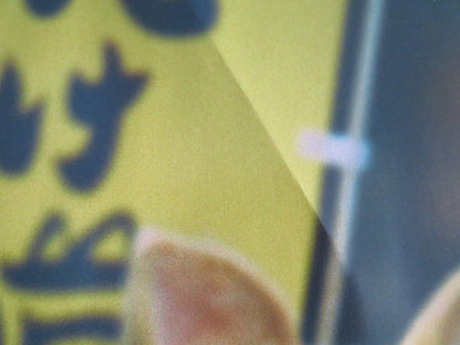 RENTAL FAMILY UK QUAD ROLLED POSTER BRENDAN FRASER HELEN SADLER 2025 Movie posters