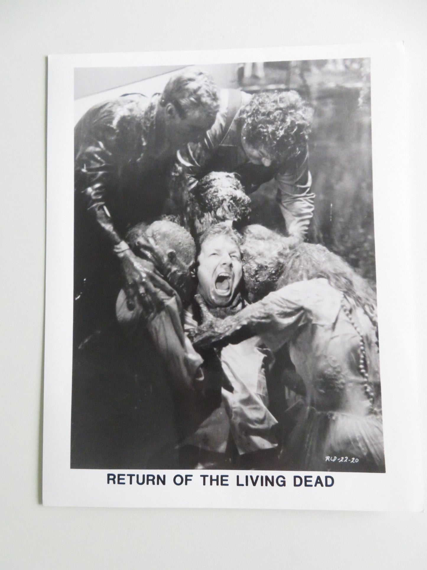 RETURN OF THE LIVING DEAD MOVIE STILL PHOTO LOT OF 5 LINNEA QUIGLEY 1985 Movie posters