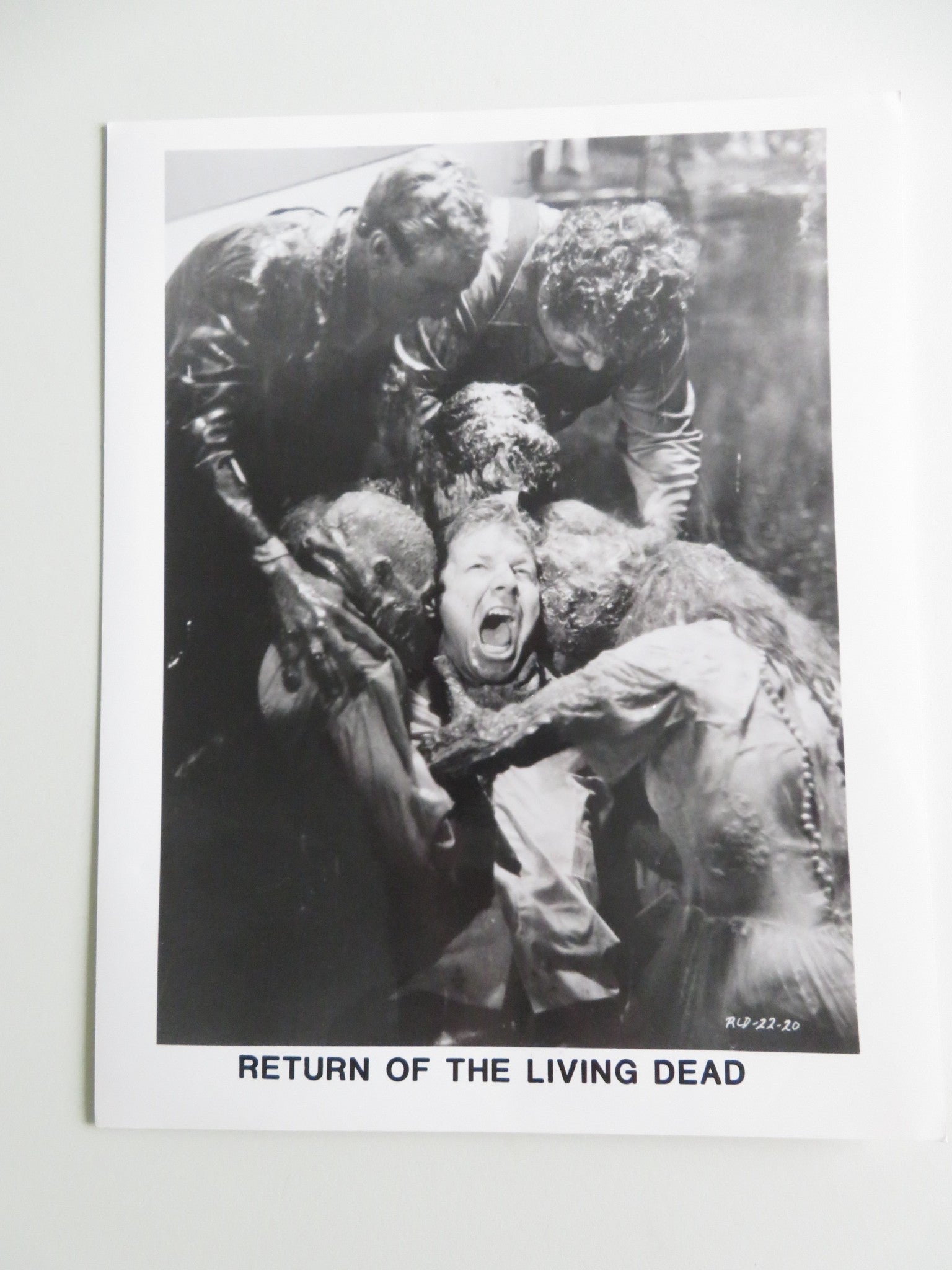 RETURN OF THE LIVING DEAD MOVIE STILL PHOTO LOT OF 5 LINNEA QUIGLEY 1985 Movie posters
