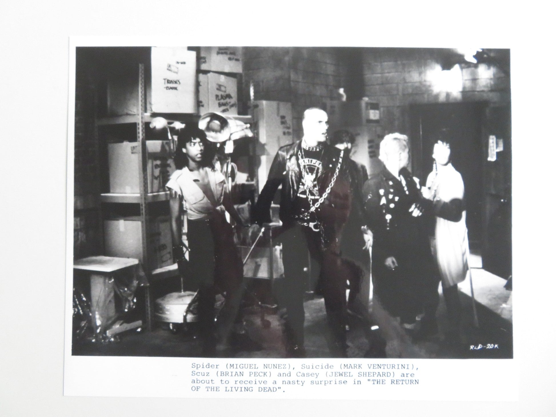 RETURN OF THE LIVING DEAD MOVIE STILL PHOTO LOT OF 5 LINNEA QUIGLEY 1985 Movie posters