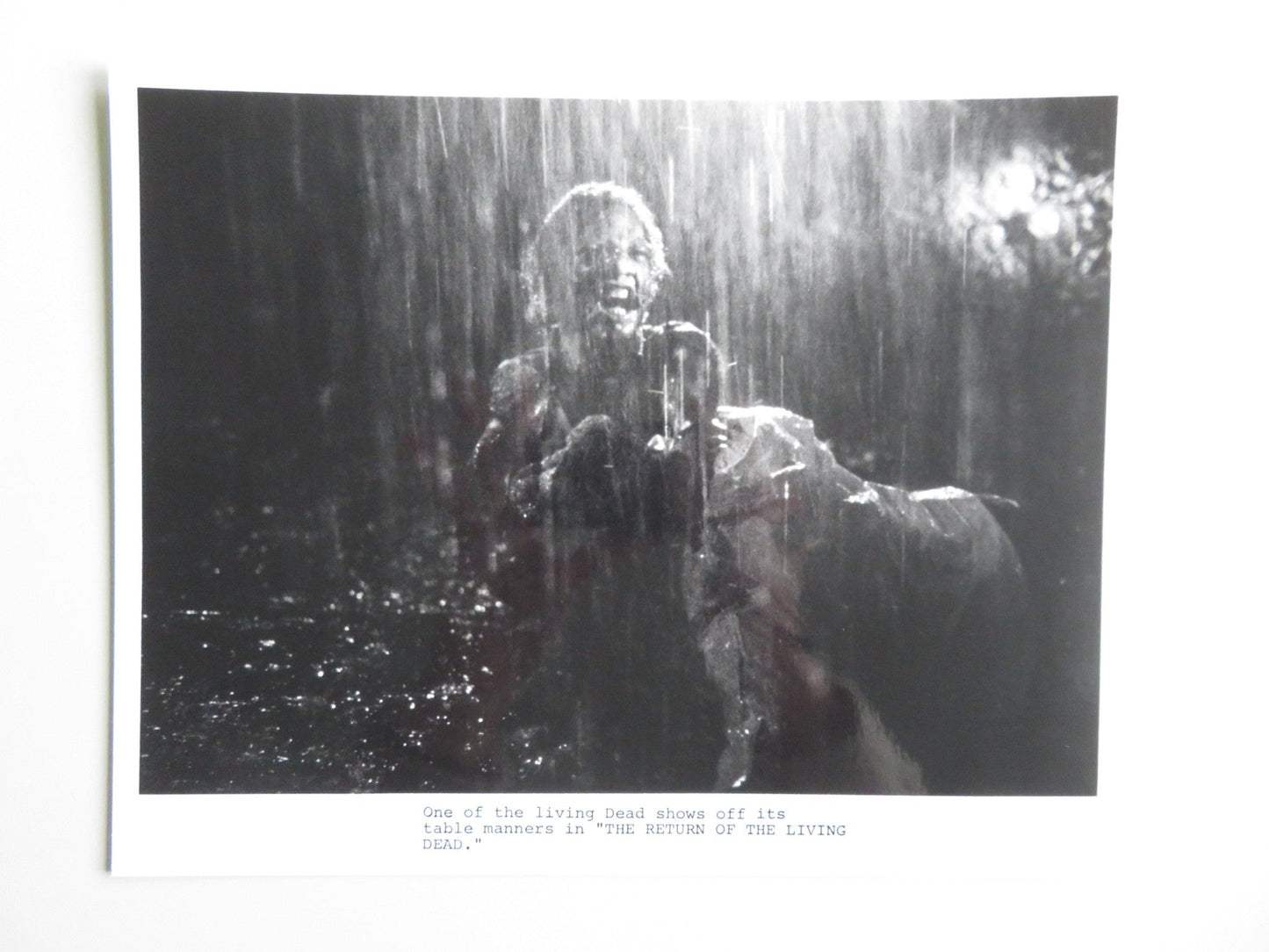 RETURN OF THE LIVING DEAD MOVIE STILL PHOTO LOT OF 5 LINNEA QUIGLEY 1985 Movie posters