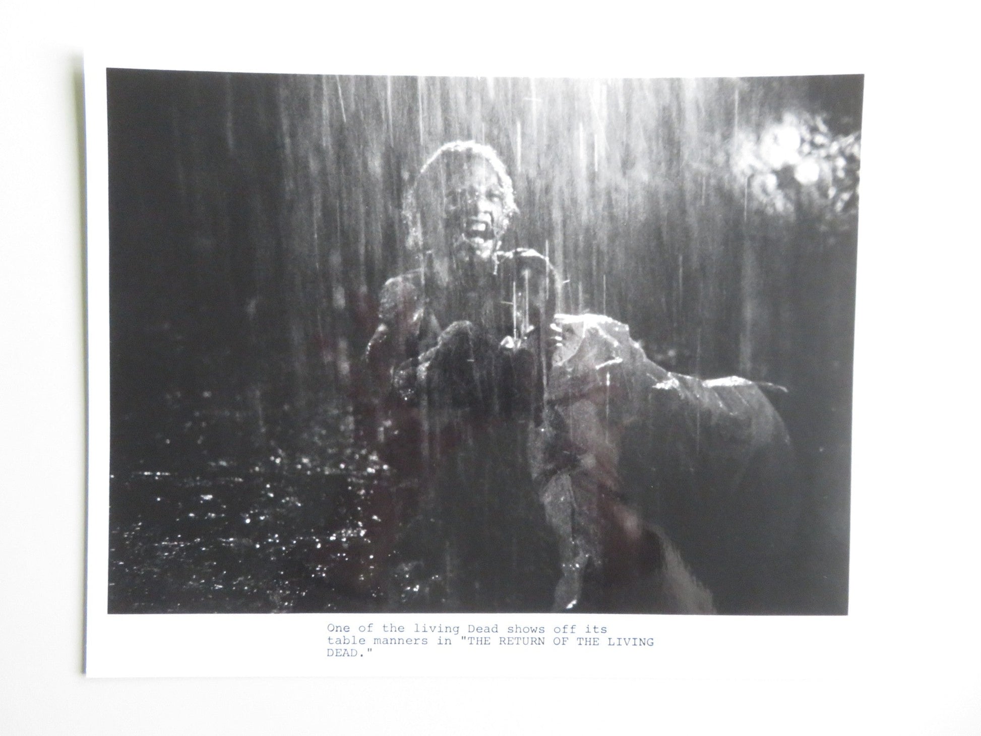 RETURN OF THE LIVING DEAD MOVIE STILL PHOTO LOT OF 5 LINNEA QUIGLEY 1985 Movie posters