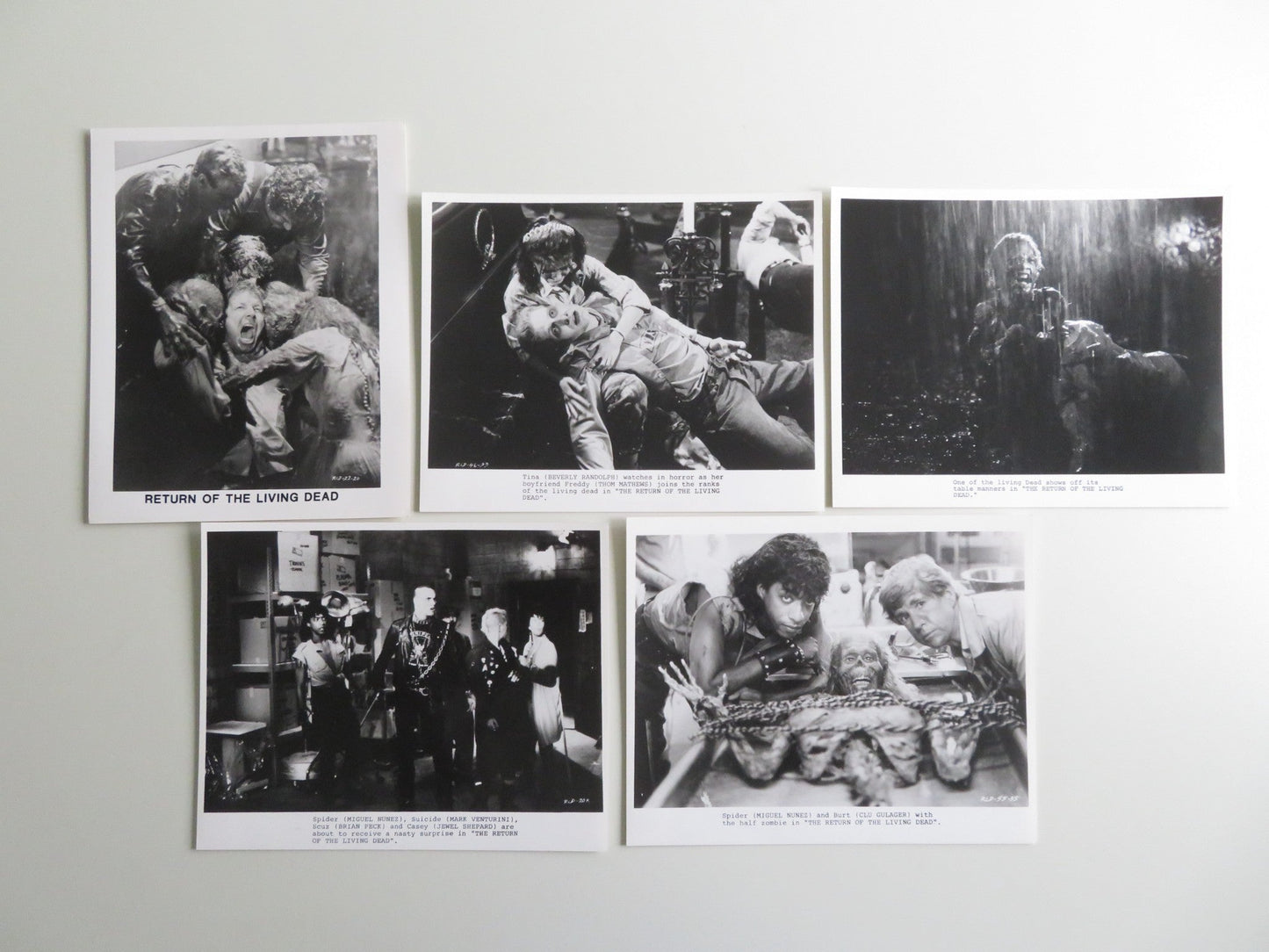 RETURN OF THE LIVING DEAD MOVIE STILL PHOTO LOT OF 5 LINNEA QUIGLEY 1985 Movie posters