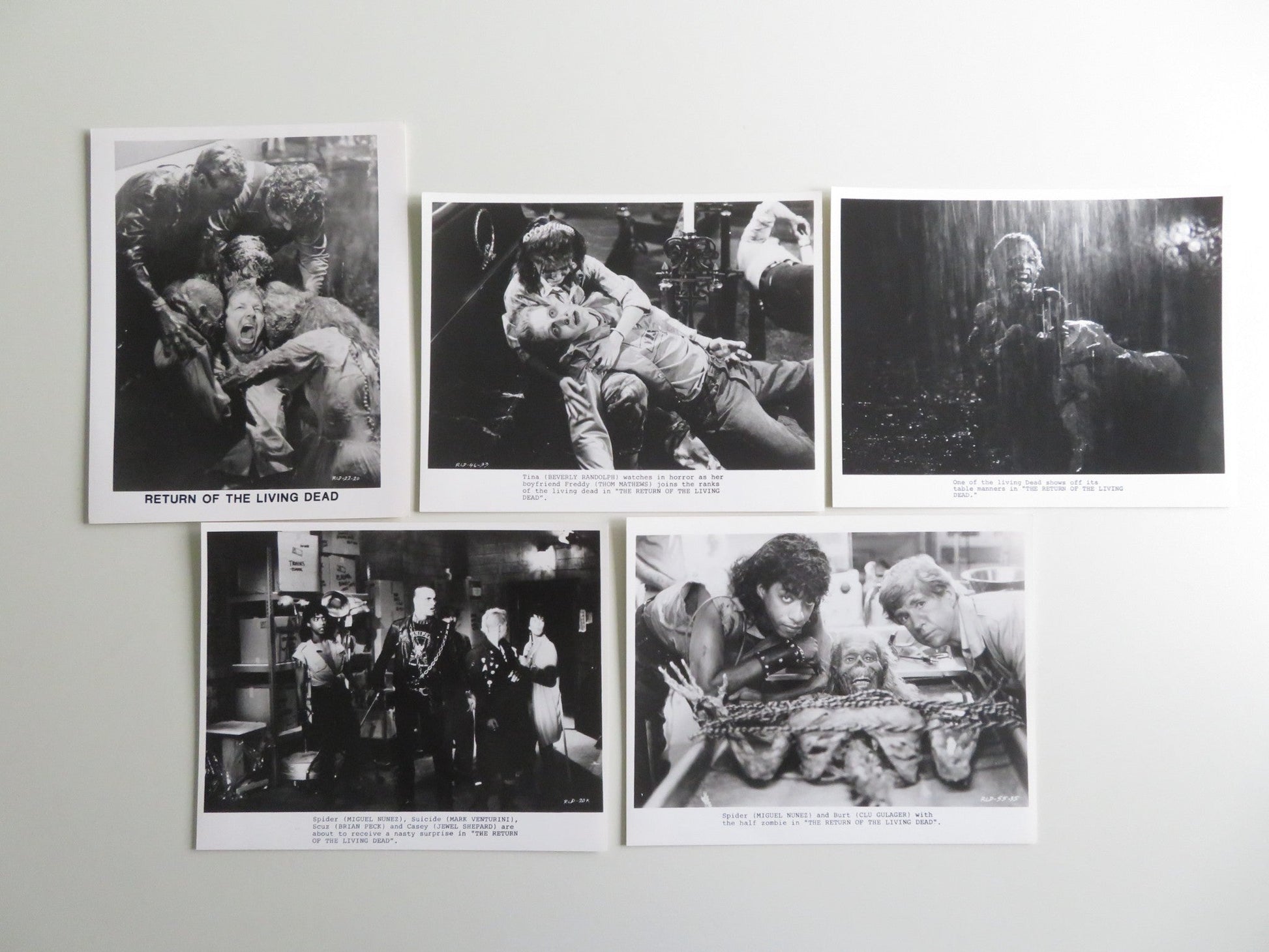 RETURN OF THE LIVING DEAD MOVIE STILL PHOTO LOT OF 5 LINNEA QUIGLEY 1985 Movie posters