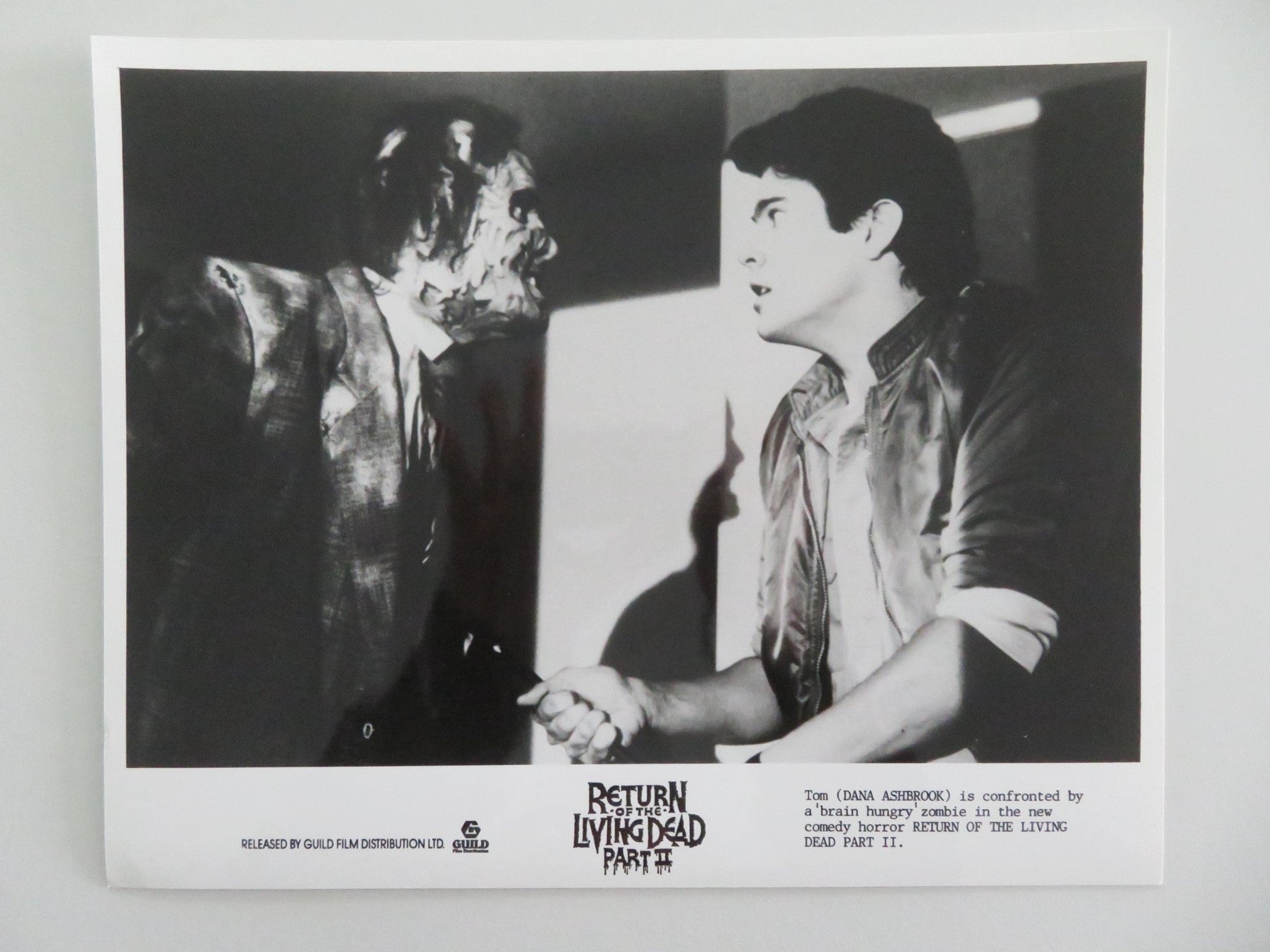 RETURN OF THE LIVING DEAD PART II MOVIE STILL PHOTO LOT OF 5 DANA ASHBROOK 1988 Movie posters