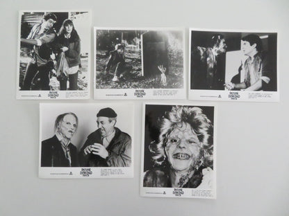 RETURN OF THE LIVING DEAD PART II MOVIE STILL PHOTO LOT OF 5 DANA ASHBROOK 1988 Movie posters