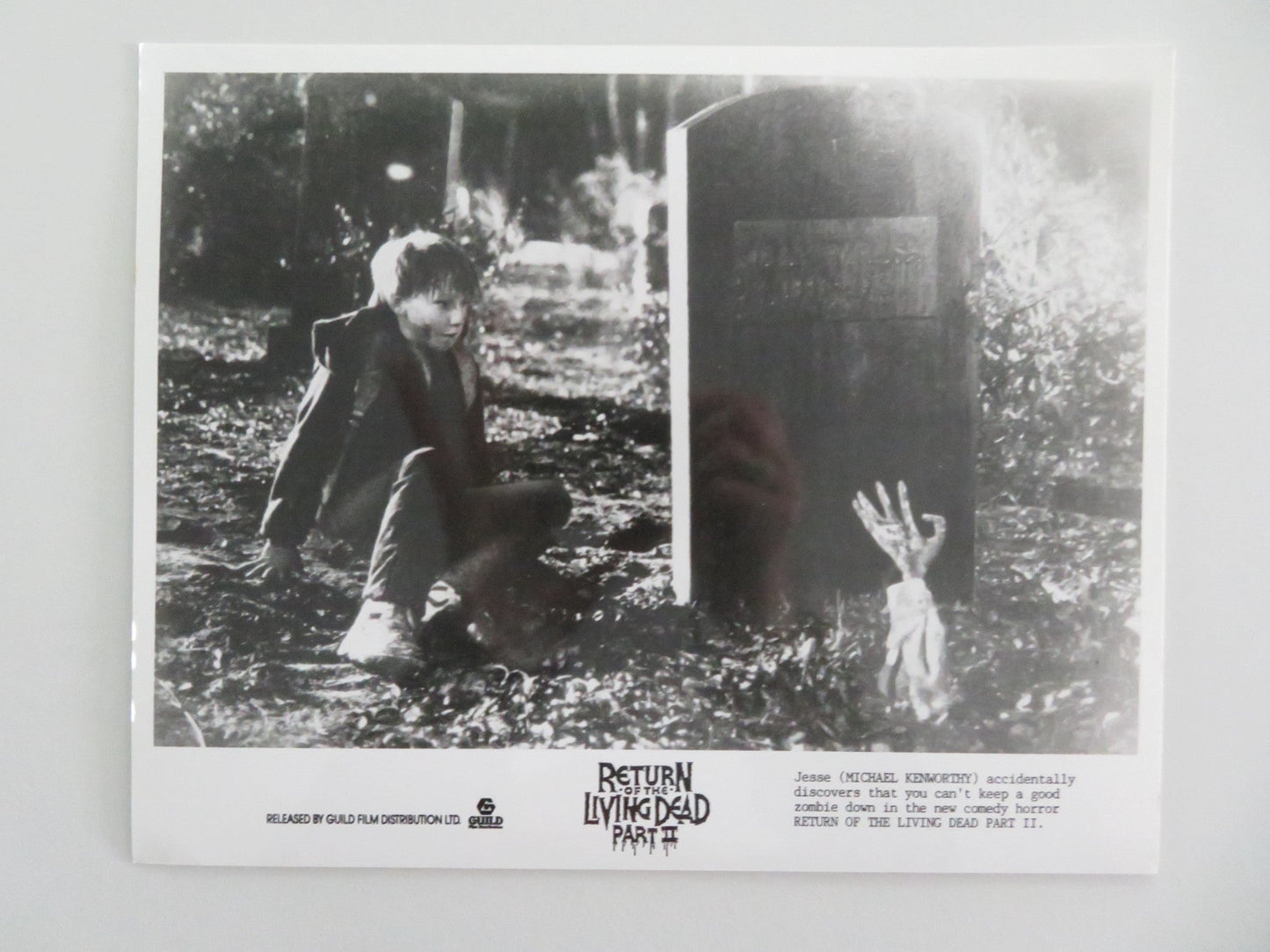 RETURN OF THE LIVING DEAD PART II MOVIE STILL PHOTO LOT OF 5 DANA ASHBROOK 1988 Movie posters