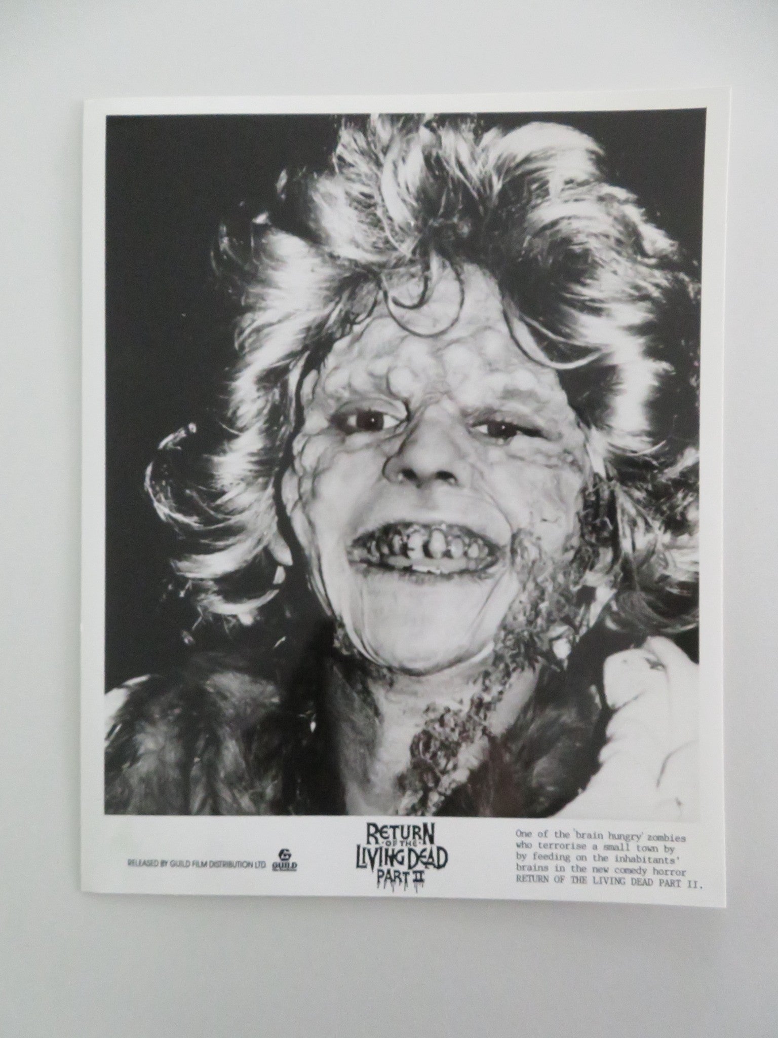 RETURN OF THE LIVING DEAD PART II MOVIE STILL PHOTO LOT OF 5 DANA ASHBROOK 1988 Movie posters