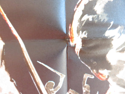 REVENGE OF THE BLACK KNIGHT GERMAN A1 POSTER FOLDED DIANA MARTIN 1966 Rendezvous Cinema Movie posters