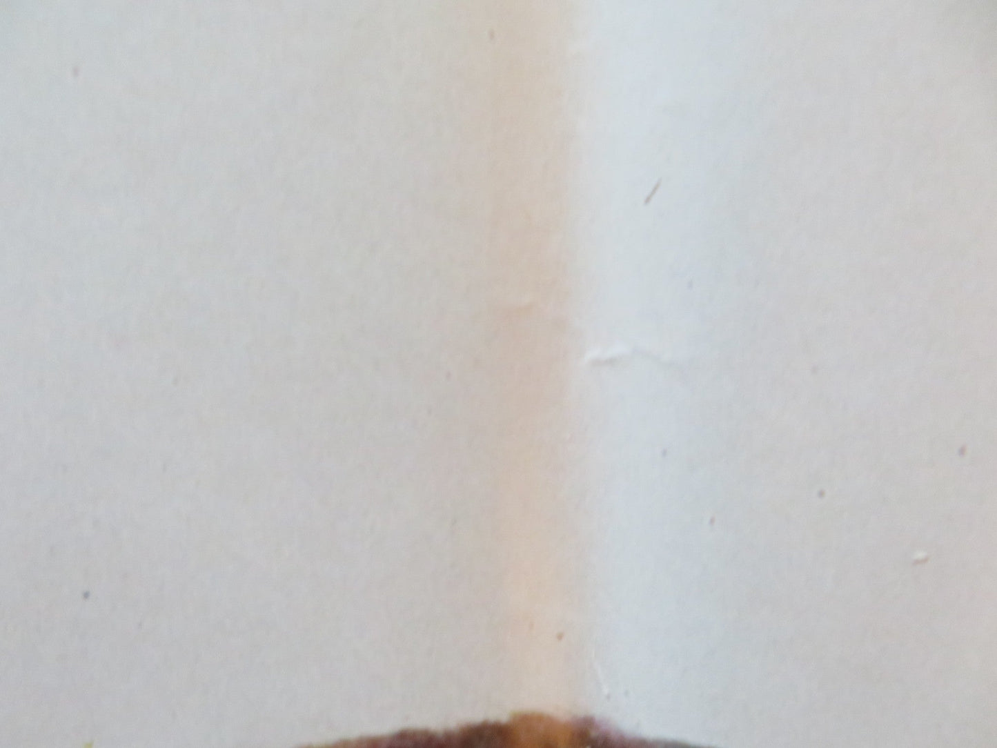 REVENGE OF THE NINJA - A ITALIAN FOTOBUSTA POSTER CANNON SHO KOSUGI 1984 Rendezvous Cinema Movie posters