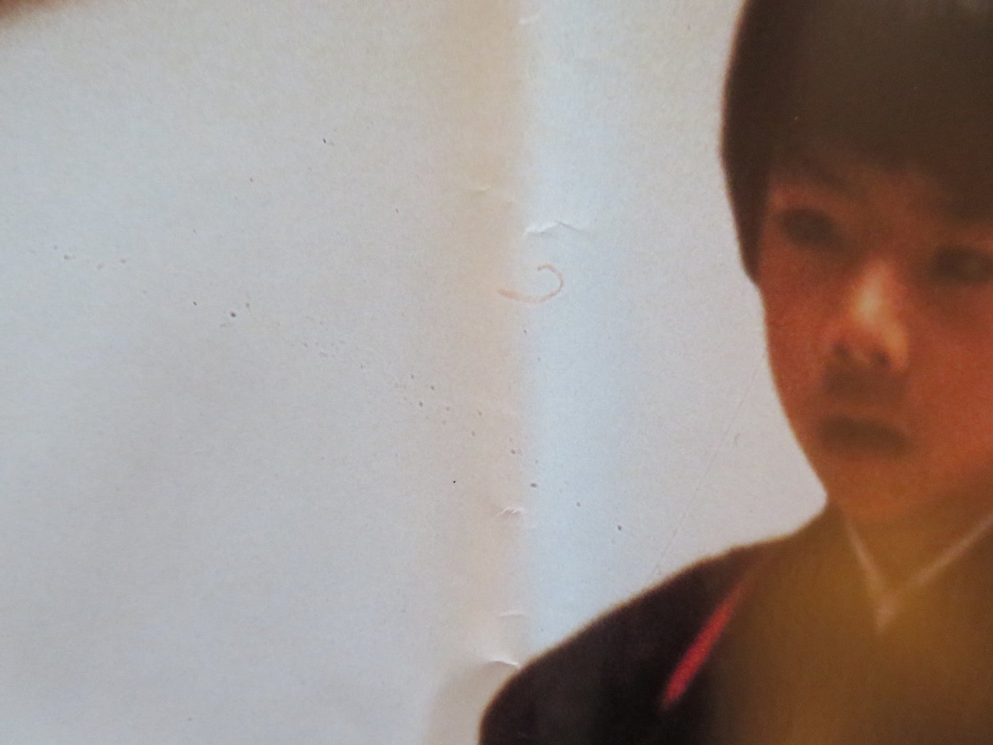 REVENGE OF THE NINJA - B ITALIAN FOTOBUSTA POSTER CANNON SHO KOSUGI 1984 Rendezvous Cinema Movie posters