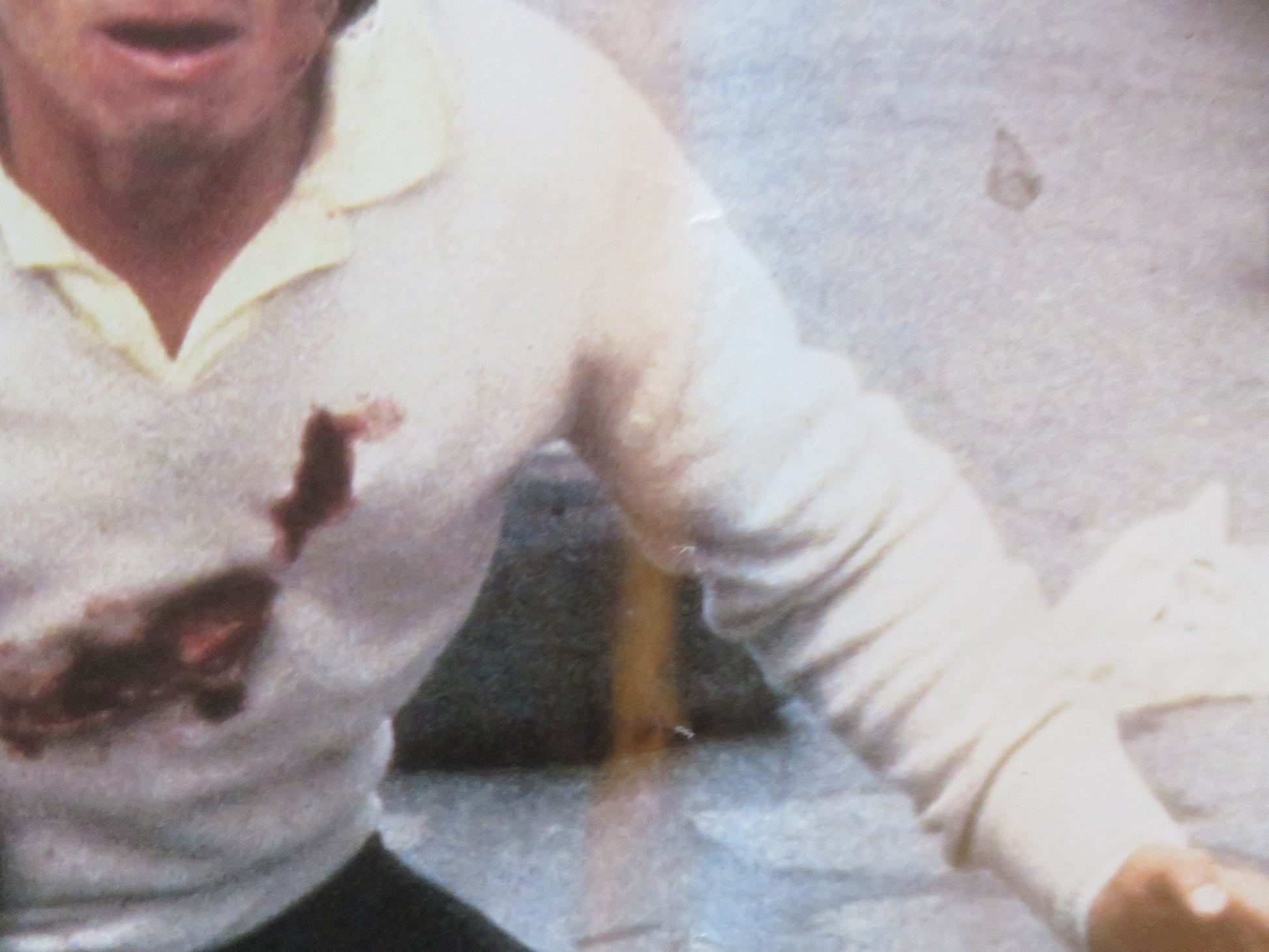 REVENGE OF THE NINJA - C ITALIAN FOTOBUSTA POSTER CANNON SHO KOSUGI 1984 Rendezvous Cinema Movie posters