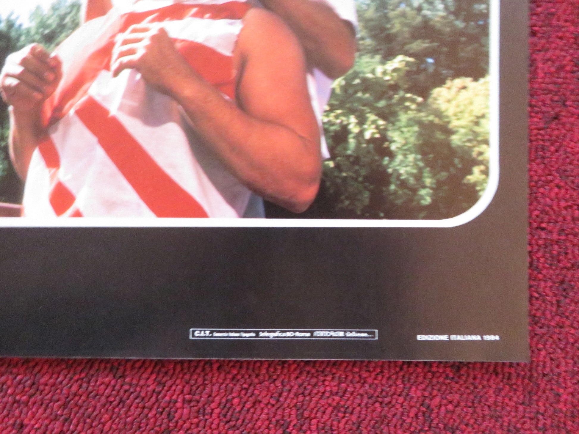 REVENGE OF THE NINJA - E ITALIAN FOTOBUSTA POSTER CANNON SHO KOSUGI 1984 Rendezvous Cinema Movie posters