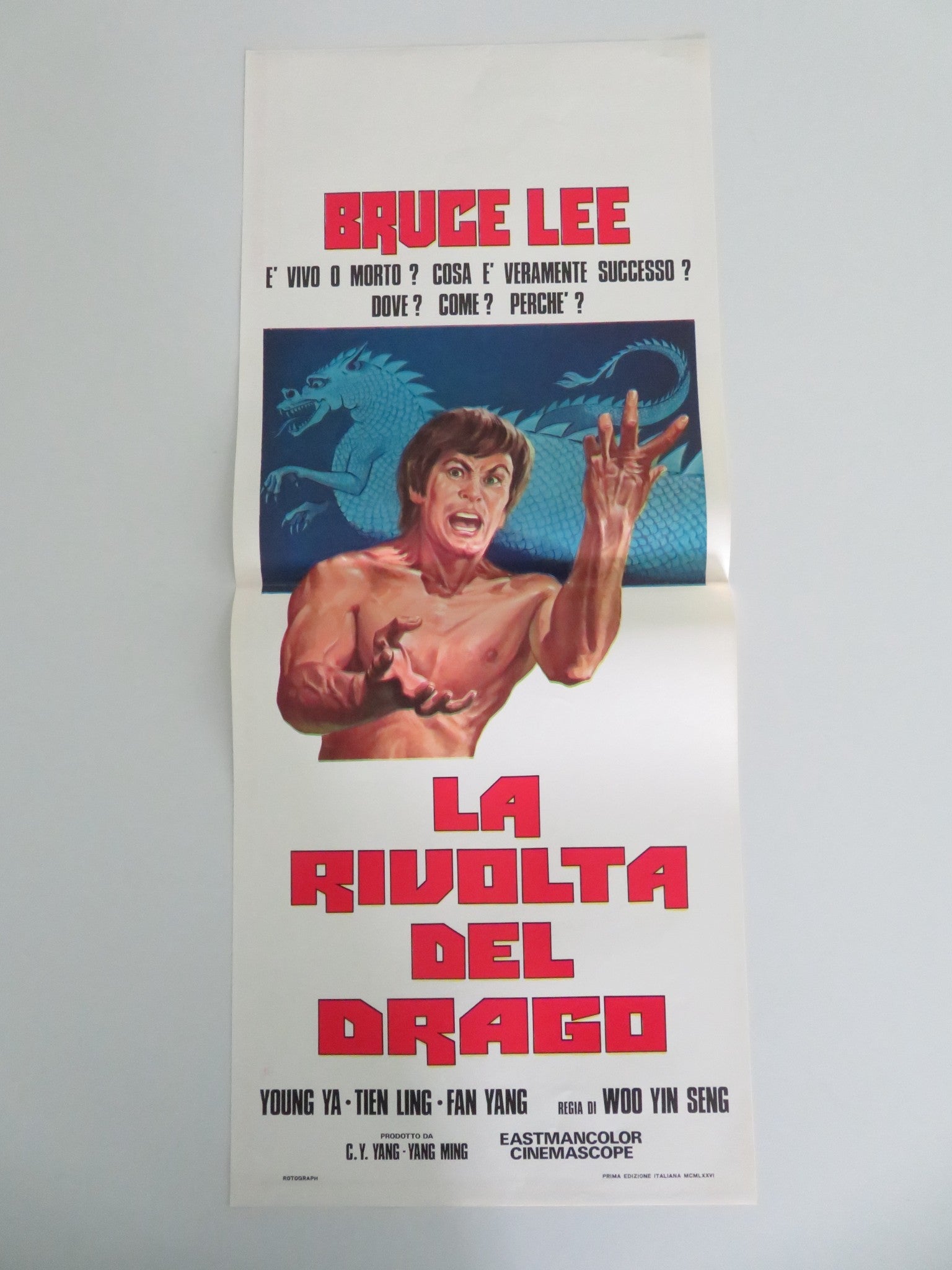 REVOLT OF THE DRAGON ITALIAN LOCANDINA POSTER YOUNG YA TIEN LING 1974 Movie posters