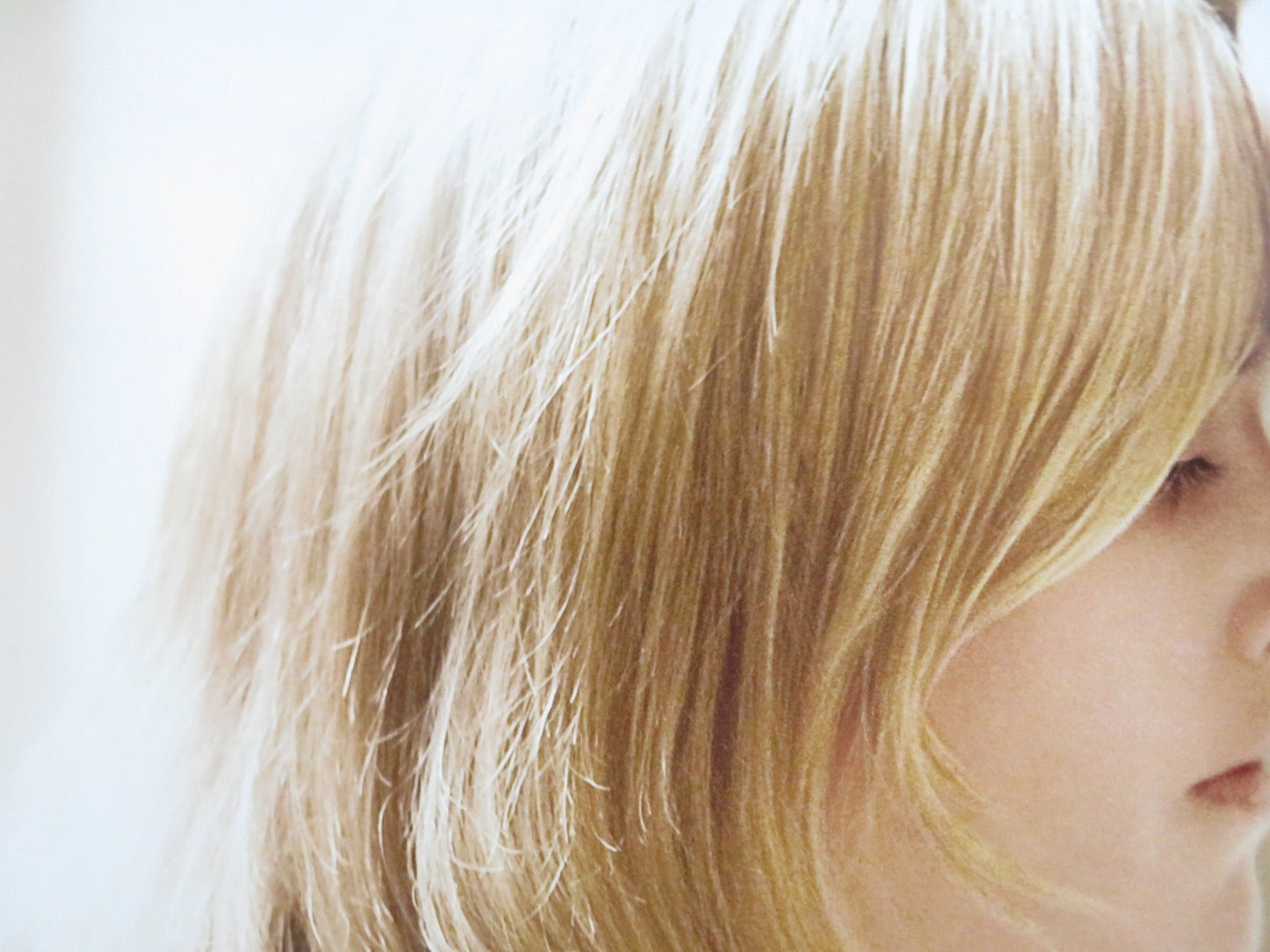 REVOLUTIONARY ROAD - B US ONE SHEET ROLLED POSTER KATE WINSLET DICAPRIO 2008 Rendezvous Cinema Movie posters