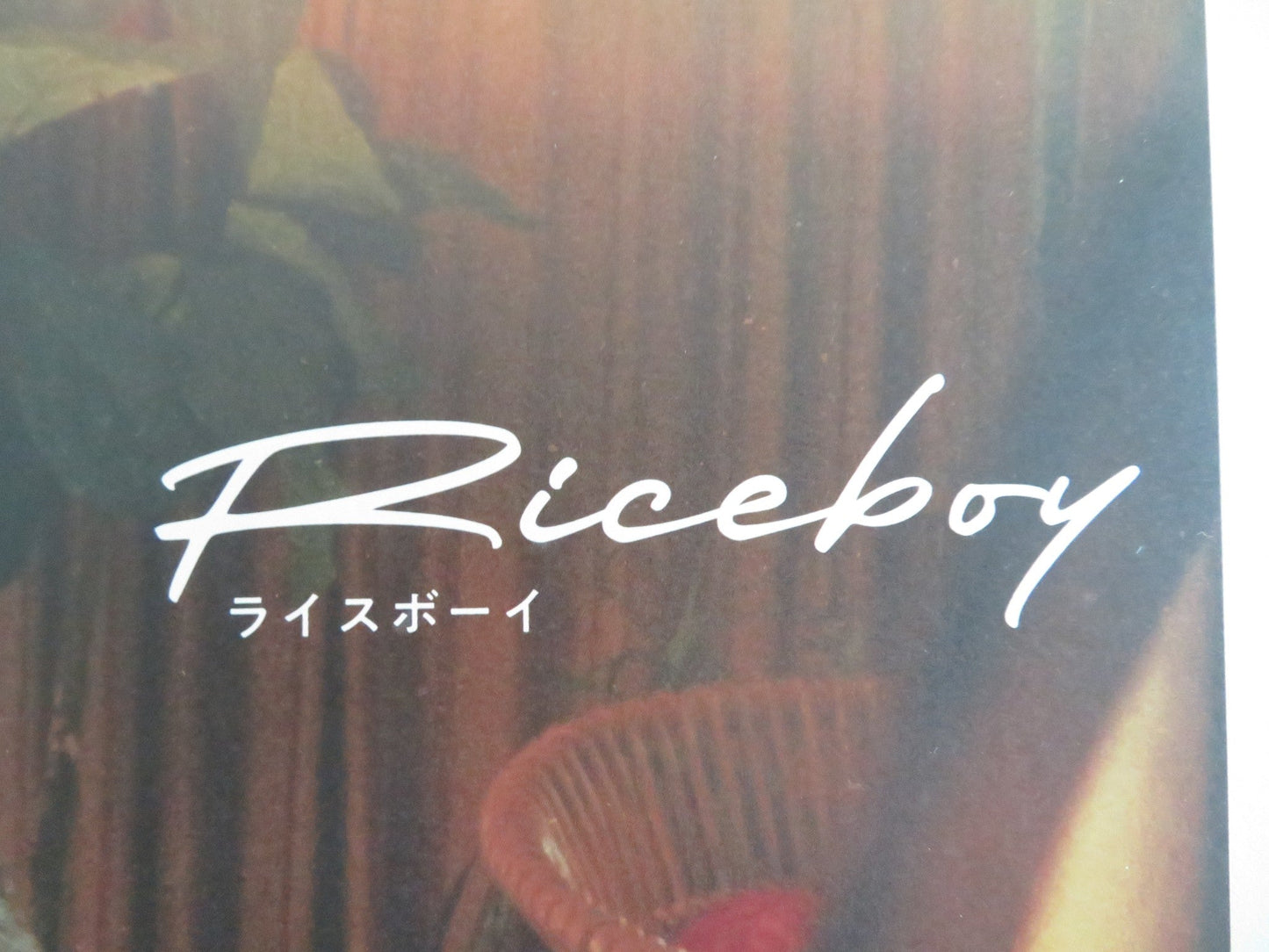 Riceboy Sleeps Japanese Chirashi (B5) Poster Choi Seung - yoon Hwang 2022 Movie posters