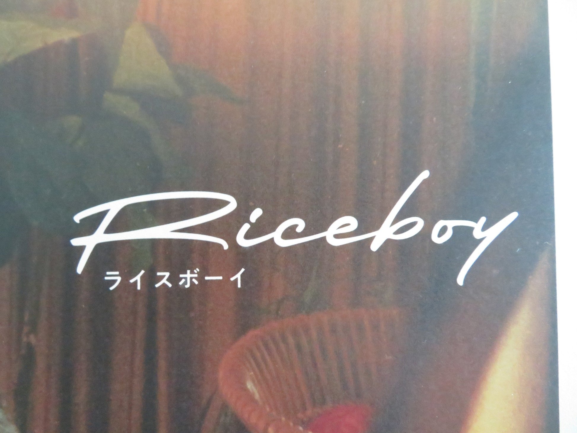 Riceboy Sleeps Japanese Chirashi (B5) Poster Choi Seung - yoon Hwang 2022 Movie posters