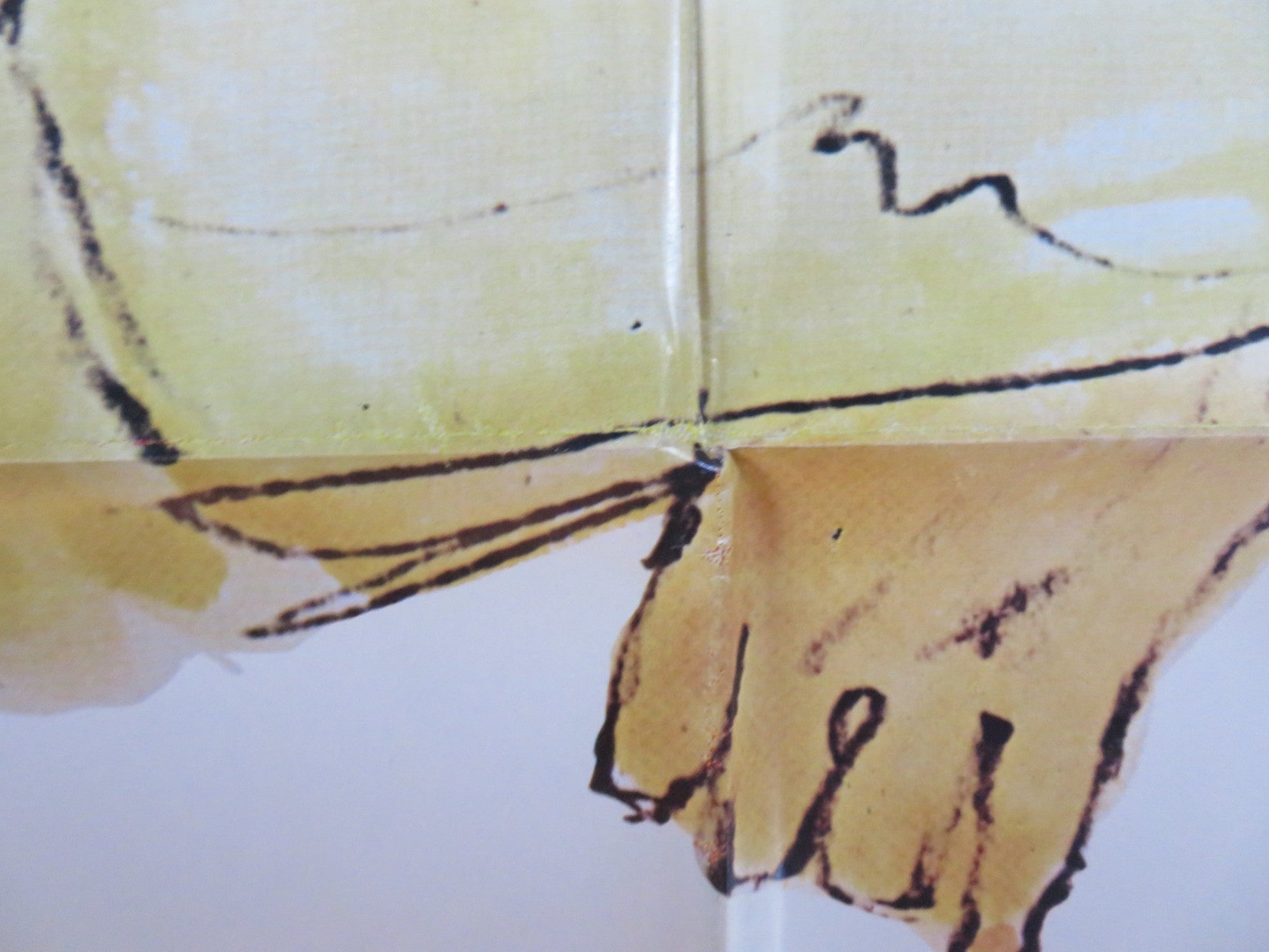 RING OF BRIGHT WATER FOLDED US ONE SHEET POSTER BILL TRAVERS V. MCKENNA 1969 Rendezvous Cinema Movie posters