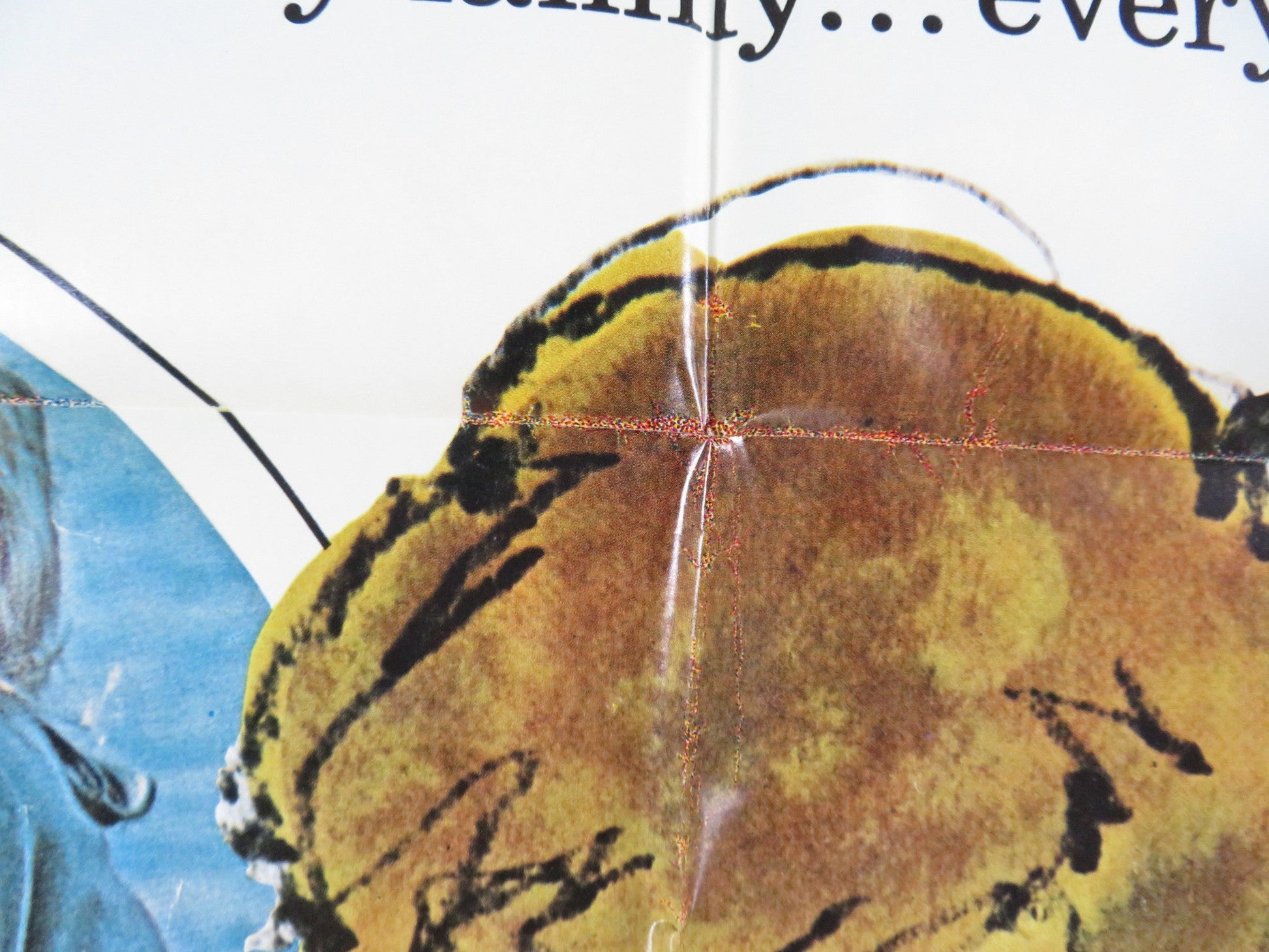 RING OF BRIGHT WATER FOLDED US ONE SHEET POSTER BILL TRAVERS V. MCKENNA 1969 Rendezvous Cinema Movie posters