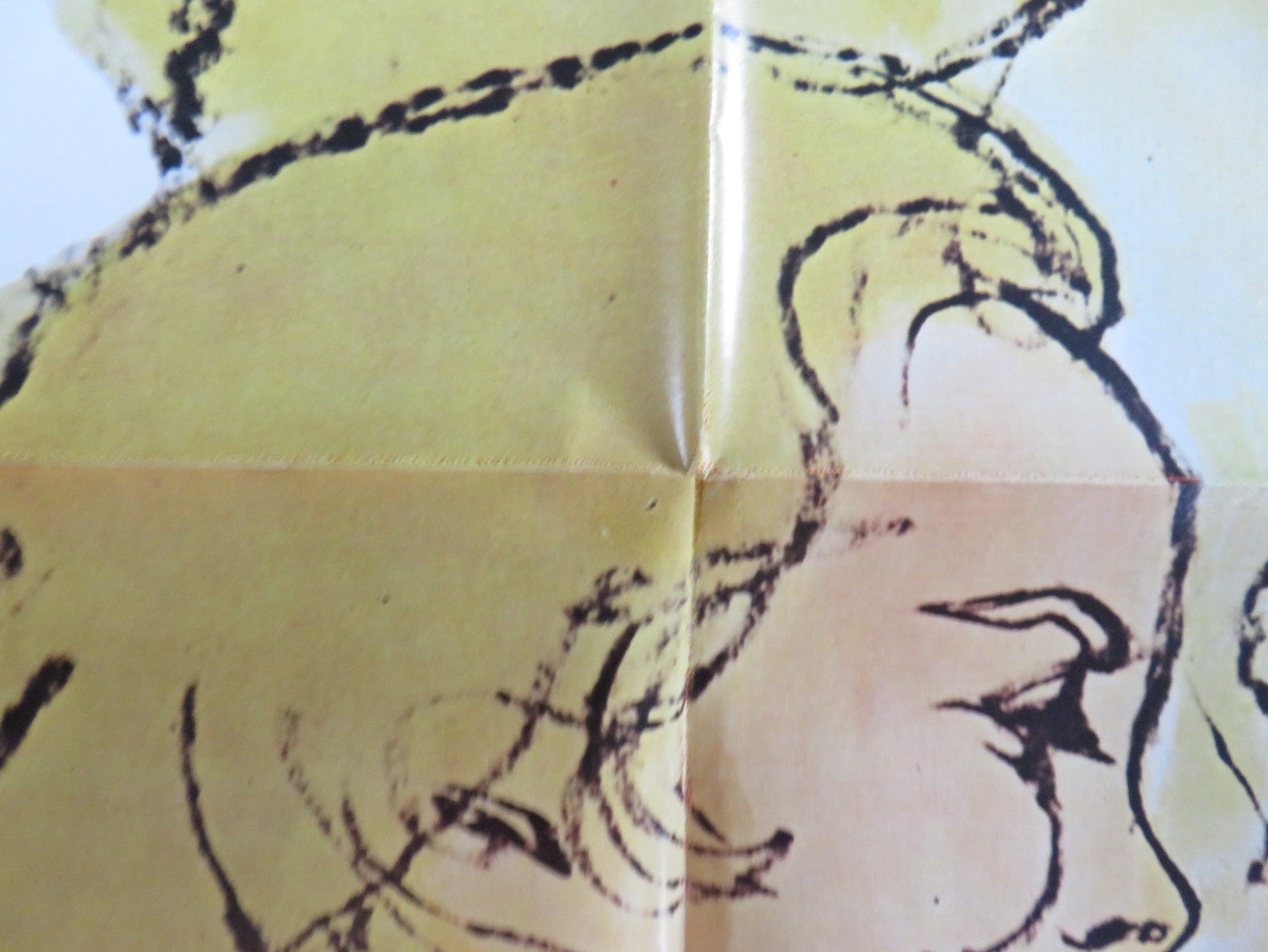 RING OF BRIGHT WATER FOLDED US ONE SHEET POSTER BILL TRAVERS V. MCKENNA 1969 Rendezvous Cinema Movie posters