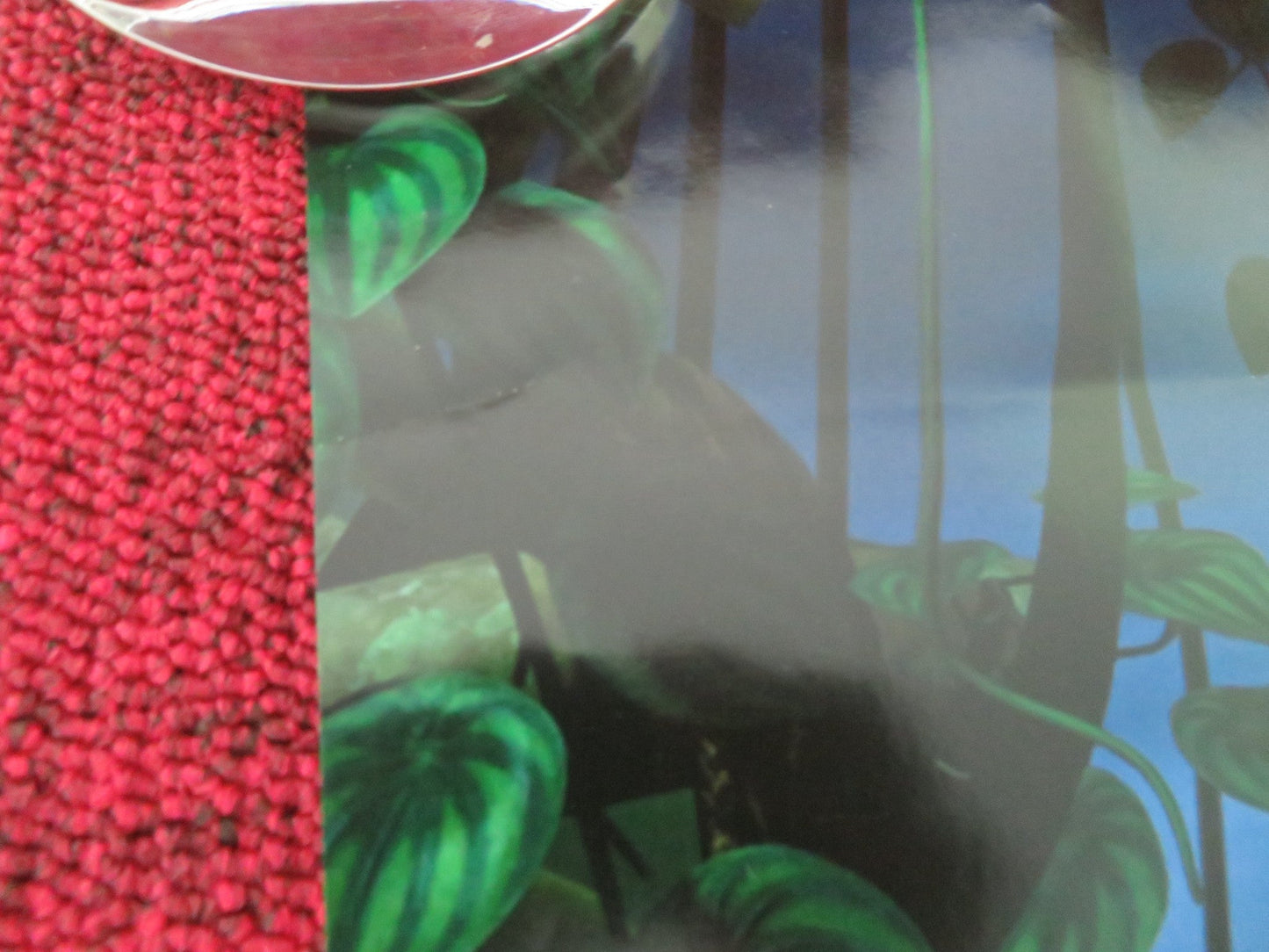 RIO 2 - E ONE SHEET ROLLED POSTER JAKE T. AUSTIN JERMAINE CLEMENT 2014 Movie posters