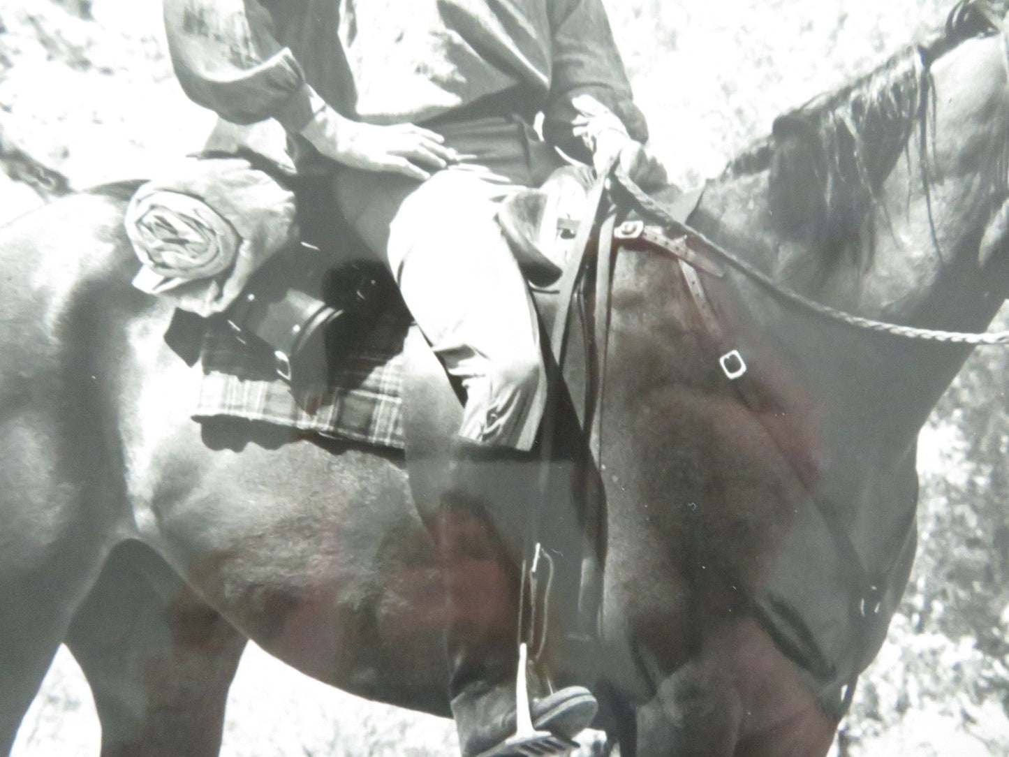 ROBBERY UNDER ARMS MOVIE STILL PHOTO SAM NEILL 1985 Movie posters