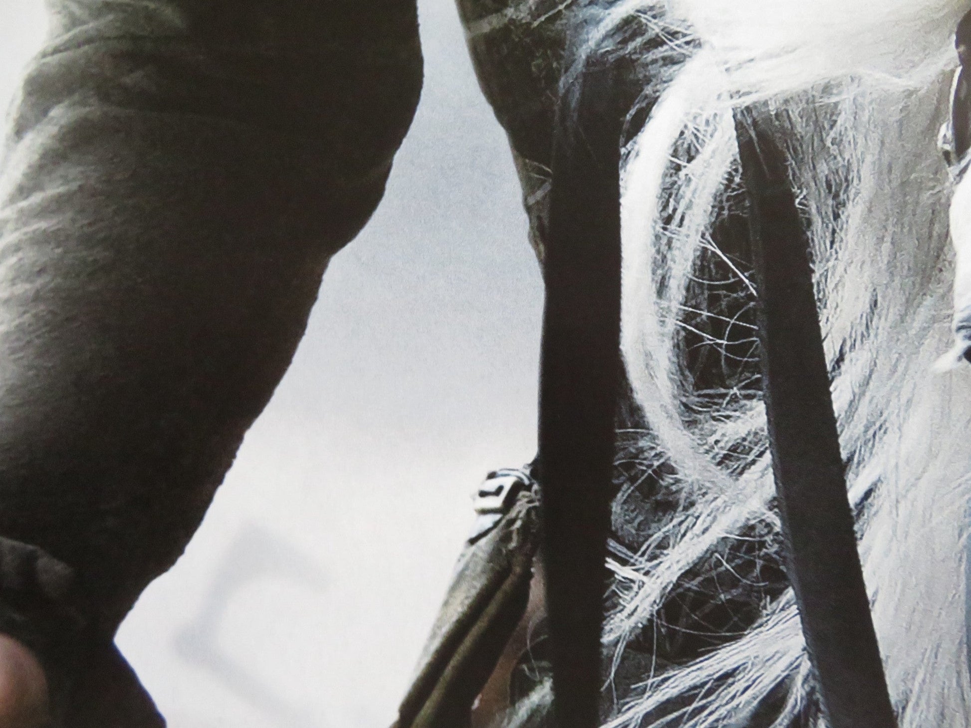 ROBIN HOOD US ONE SHEET ROLLED POSTER RUSSELL CROWE CATE BLANCHETT 2010 Rendezvous Cinema Movie posters