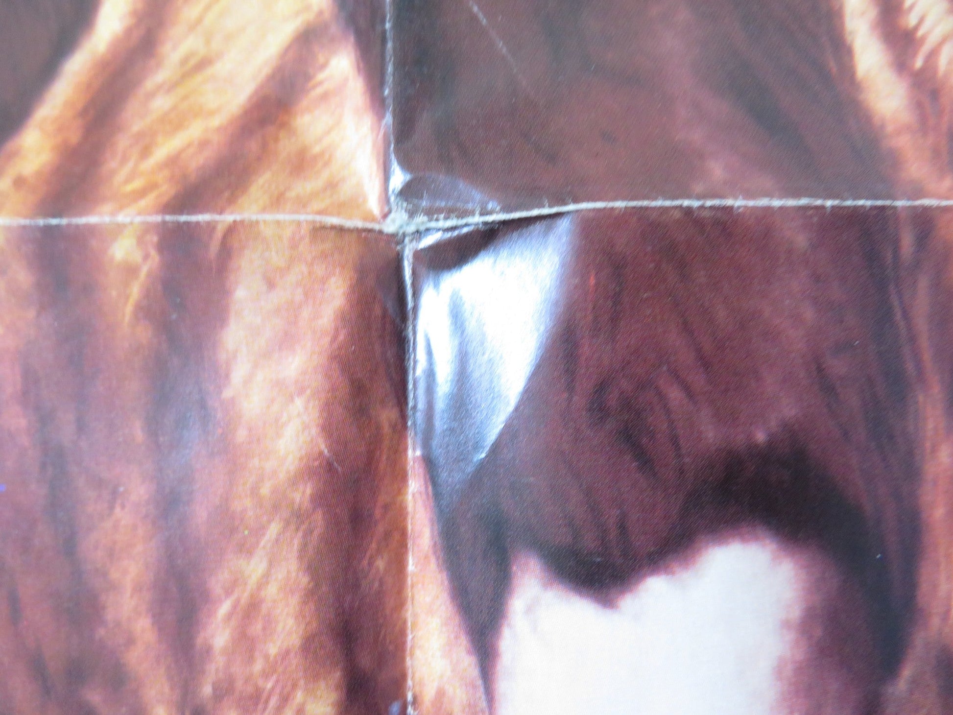 ROBINSON CRUSOE AND THE TIGER FOLDED US ONE SHEET POSTER HUGO STIGLITZ 1972 Rendezvous Cinema Movie posters