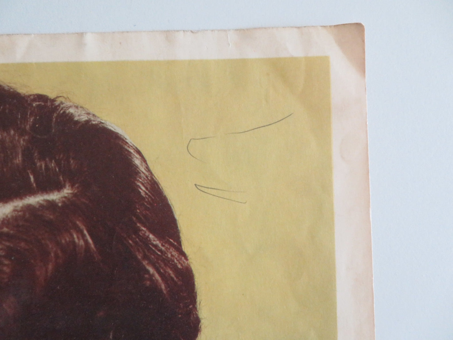 ROGUES OF SHERWOOD FOREST - C LOBBY CARD JOHN DEREK DIANA LYNN 1950 Rendezvous Cinema Movie posters