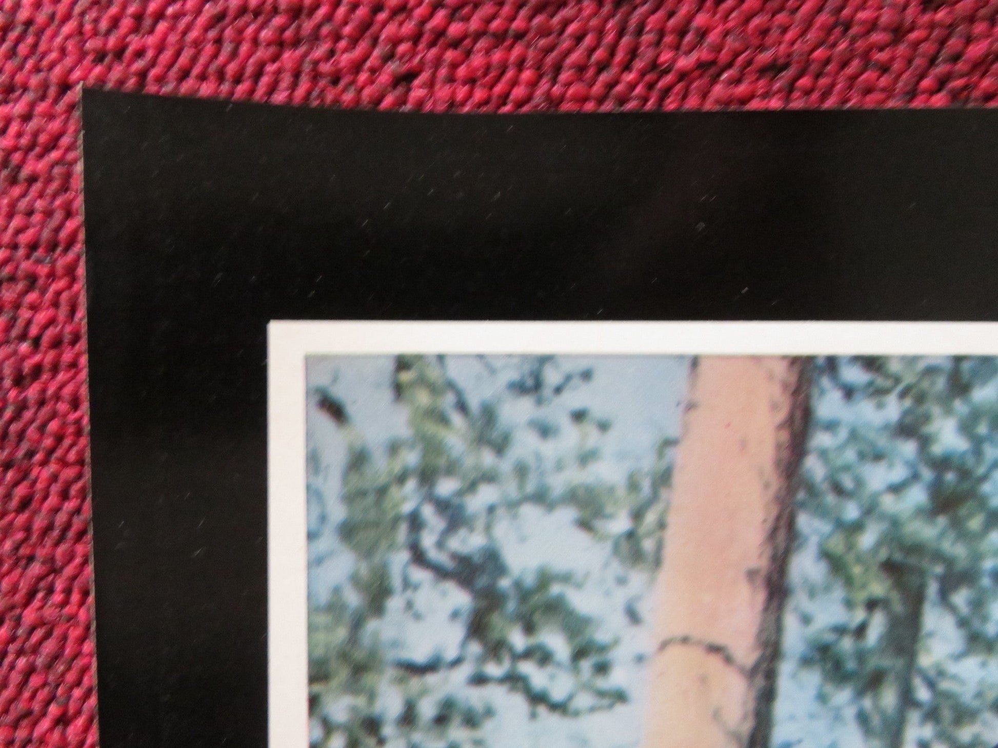 ROOSTER COGBURN - B ITALIAN FOTOBUSTA POSTER JOHN WAYNE KATHERINE HEPBURN 1975 Rendezvous Cinema Movie posters