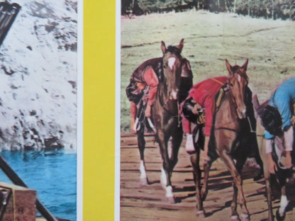 ROOSTER COGBURN - C ITALIAN FOTOBUSTA POSTER JOHN WAYNE KATHERINE HEPBURN 1975 Rendezvous Cinema Movie posters