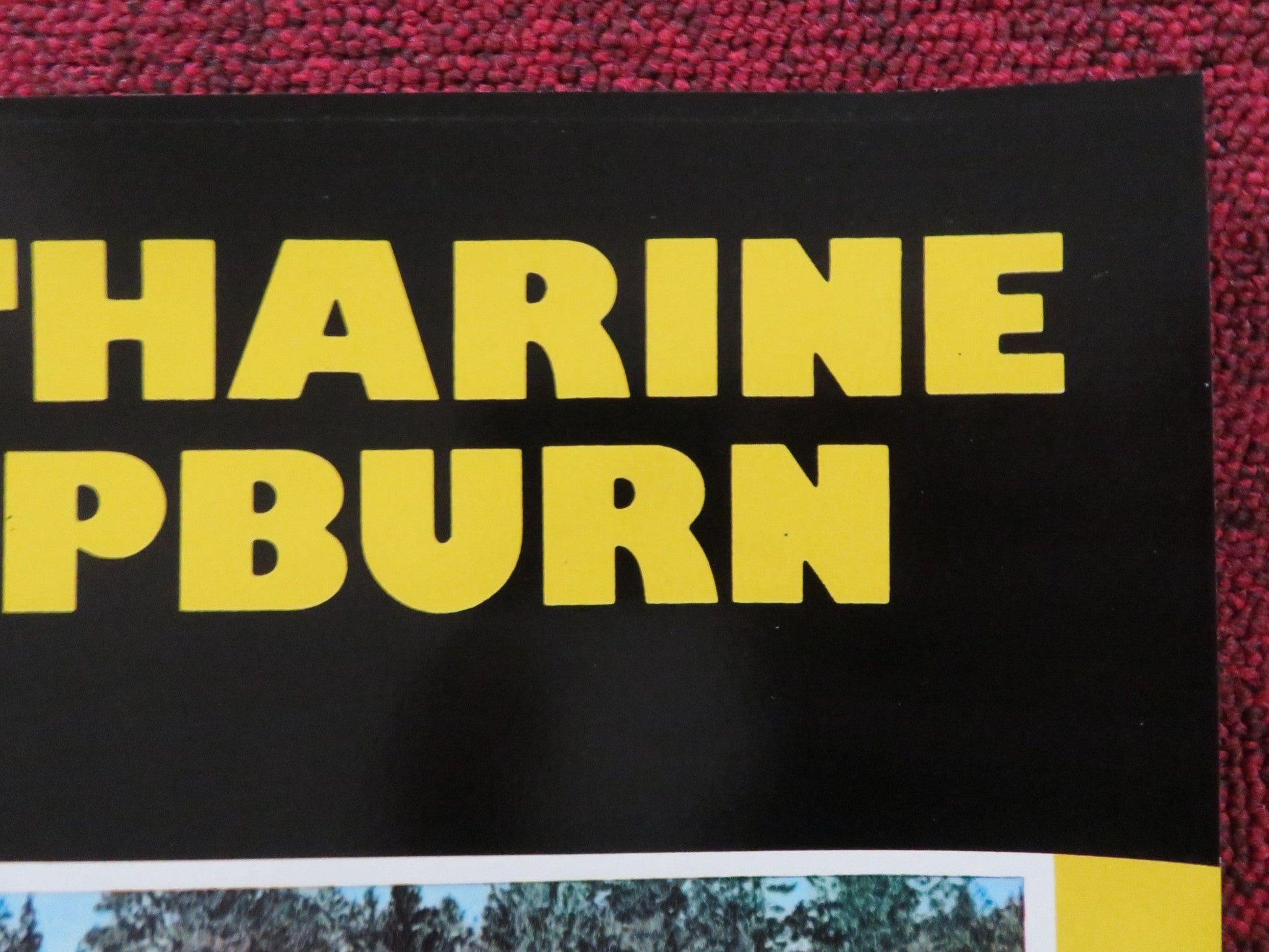 ROOSTER COGBURN - C ITALIAN FOTOBUSTA POSTER JOHN WAYNE KATHERINE HEPBURN 1975 Rendezvous Cinema Movie posters