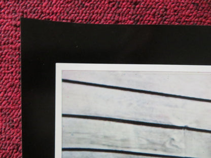 ROOSTER COGBURN - E ITALIAN FOTOBUSTA POSTER JOHN WAYNE KATHERINE HEPBURN 1975 Rendezvous Cinema Movie posters