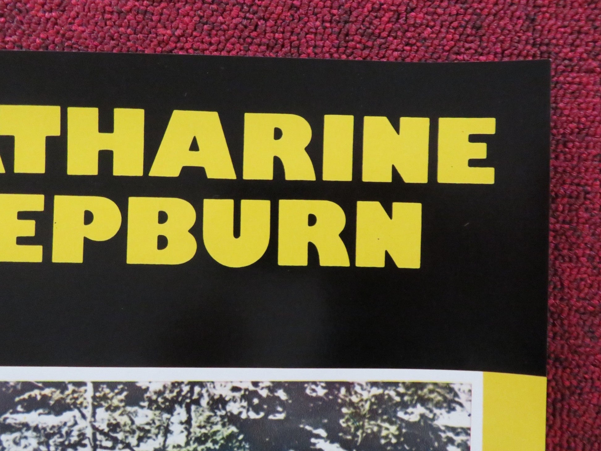 ROOSTER COGBURN - E ITALIAN FOTOBUSTA POSTER JOHN WAYNE KATHERINE HEPBURN 1975 Rendezvous Cinema Movie posters