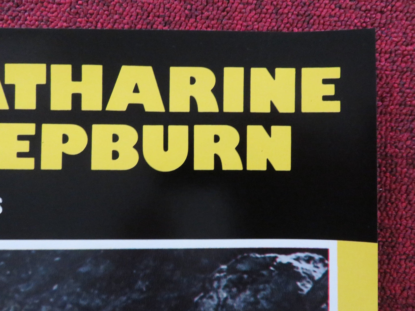 ROOSTER COGBURN - F ITALIAN FOTOBUSTA POSTER JOHN WAYNE KATHERINE HEPBURN 1975 Rendezvous Cinema Movie posters