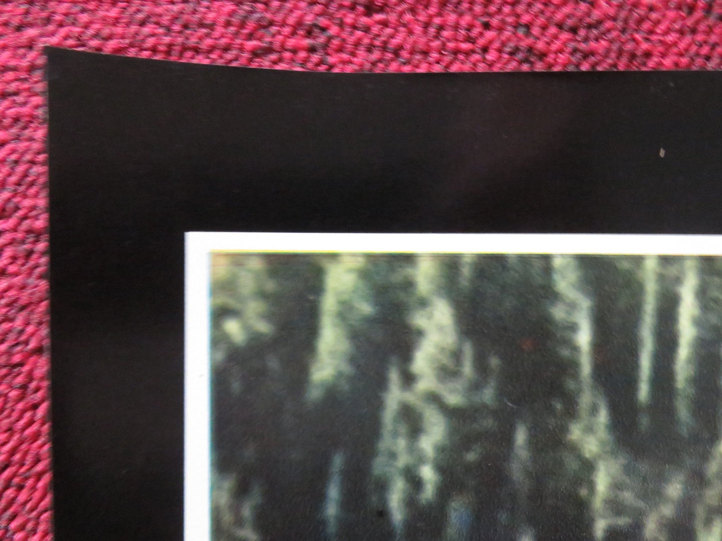 ROOSTER COGBURN - H ITALIAN FOTOBUSTA POSTER JOHN WAYNE KATHERINE HEPBURN 1975 Rendezvous Cinema Movie posters