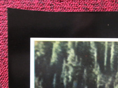 ROOSTER COGBURN - H ITALIAN FOTOBUSTA POSTER JOHN WAYNE KATHERINE HEPBURN 1975 Rendezvous Cinema Movie posters