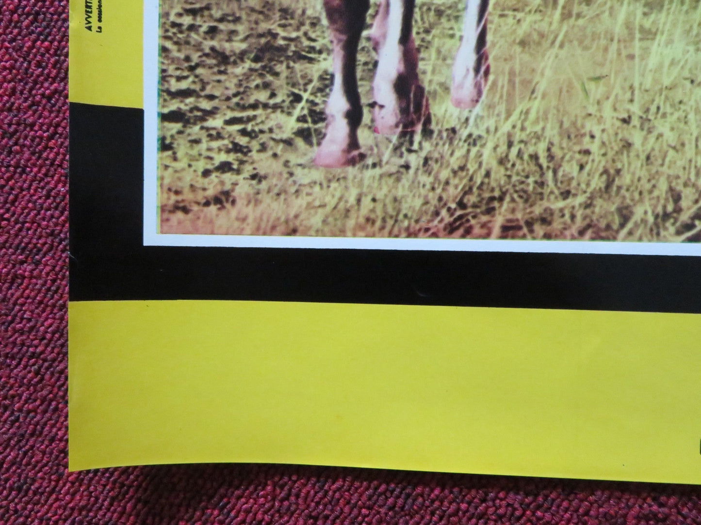 ROOSTER COGBURN - H ITALIAN FOTOBUSTA POSTER JOHN WAYNE KATHERINE HEPBURN 1975 Rendezvous Cinema Movie posters