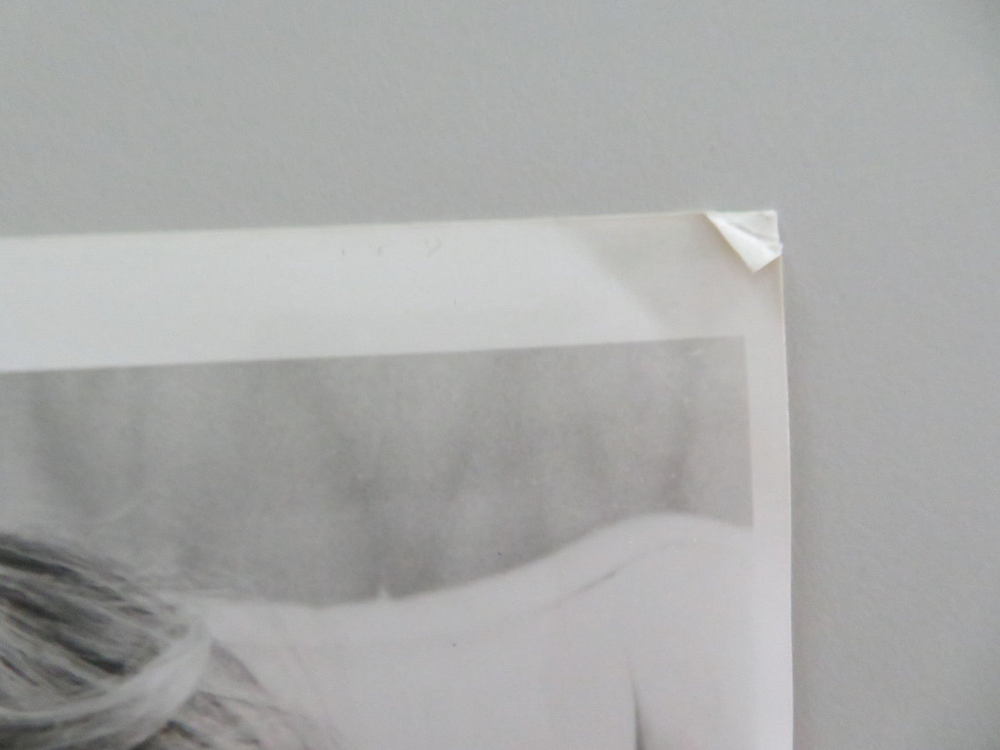 ROSALIE GOES SHOPPING MOVIE STILL PHOTO LOT OF 4 MARIANNE SAGEBRECHT 1989 Movie posters