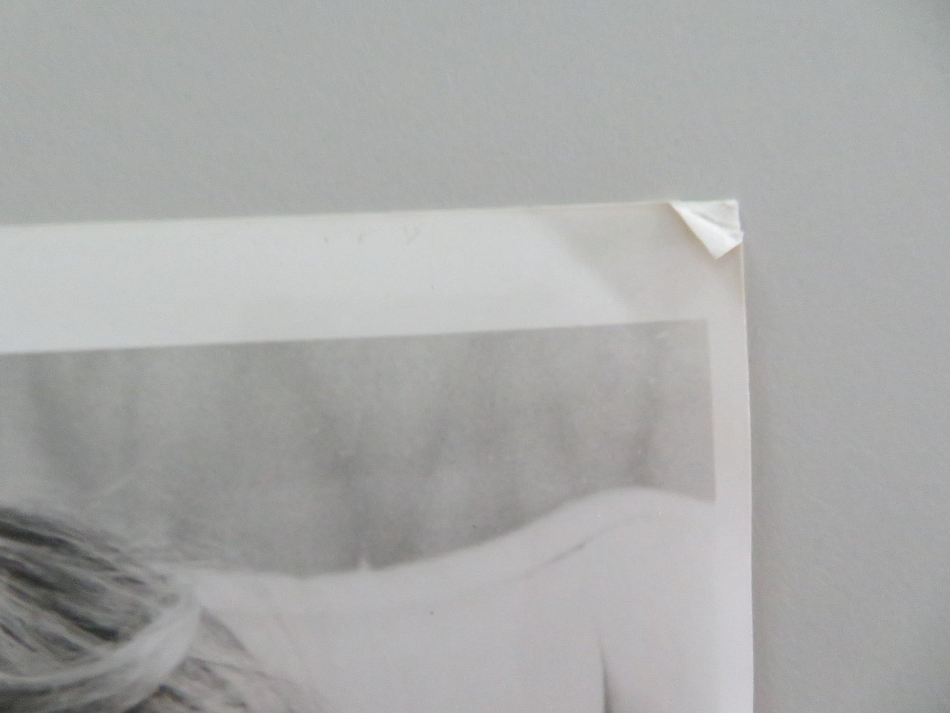 ROSALIE GOES SHOPPING MOVIE STILL PHOTO LOT OF 4 MARIANNE SAGEBRECHT 1989 Movie posters