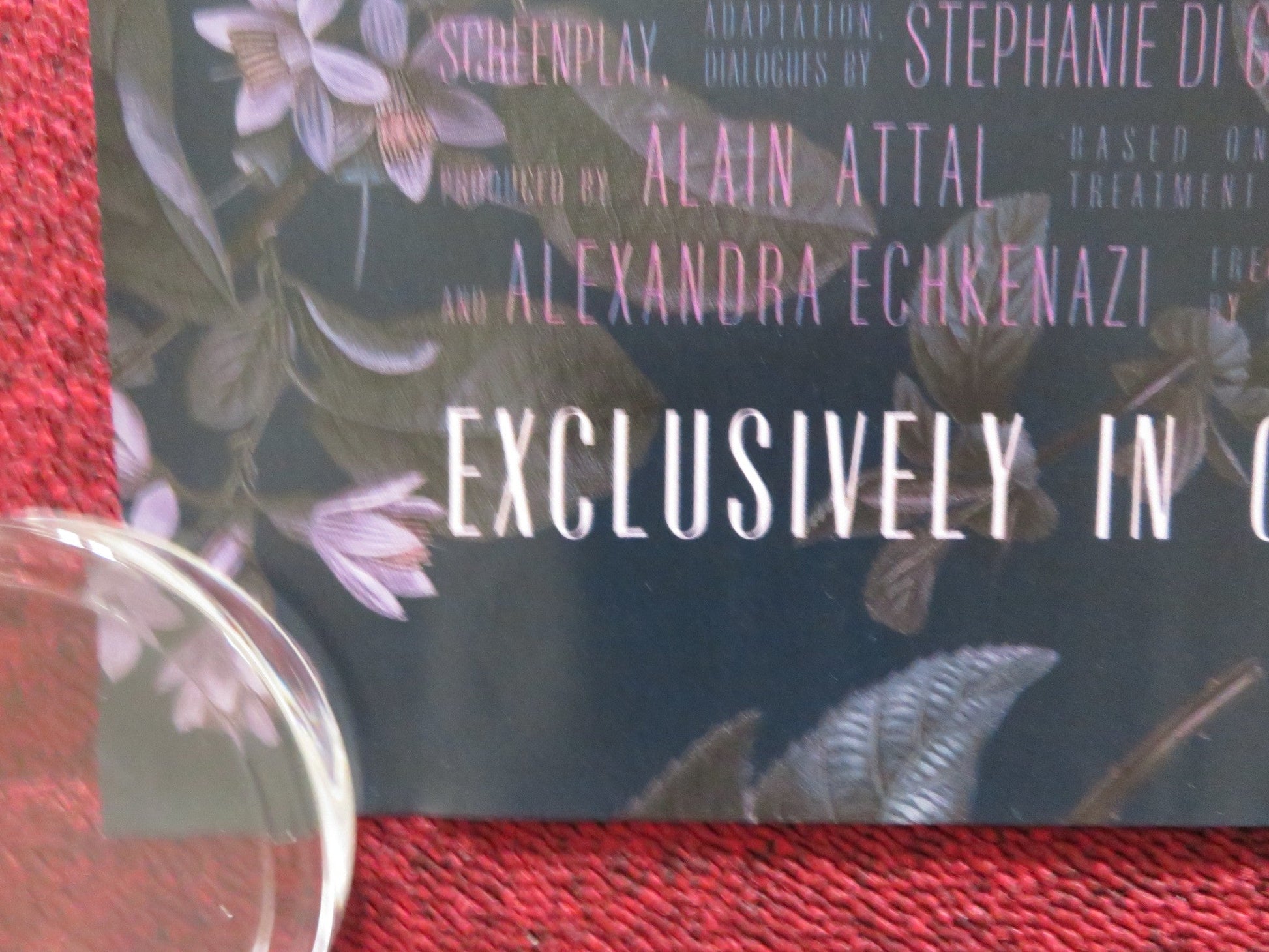 ROSALIE UK QUAD ROLLED POSTER NADIA TERESZKIEWICZ BENOIT MAGIMEL 2023 Rendezvous Cinema Movie posters