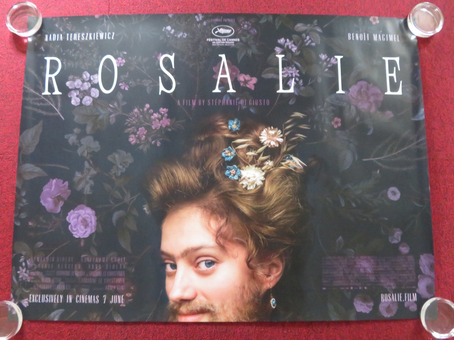 ROSALIE UK QUAD ROLLED POSTER NADIA TERESZKIEWICZ BENOIT MAGIMEL 2023 Rendezvous Cinema Movie posters