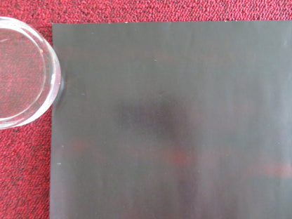 ROYAL BALLET AND OPERA: DIE WALKURE UK QUAD ROLLED POSTER ANTONIO PAPPANO 2025 Movie posters