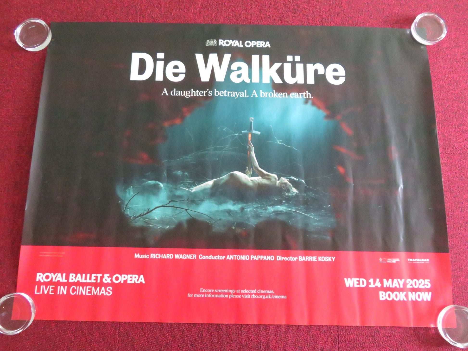 ROYAL BALLET AND OPERA: DIE WALKURE UK QUAD ROLLED POSTER ANTONIO PAPPANO 2025 Movie posters