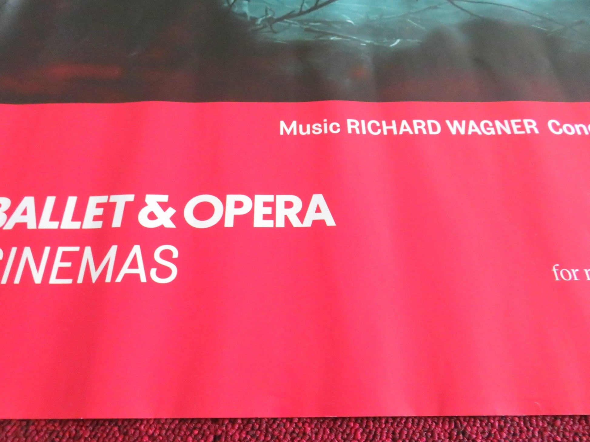 ROYAL BALLET AND OPERA: DIE WALKURE UK QUAD ROLLED POSTER ANTONIO PAPPANO 2025 Movie posters